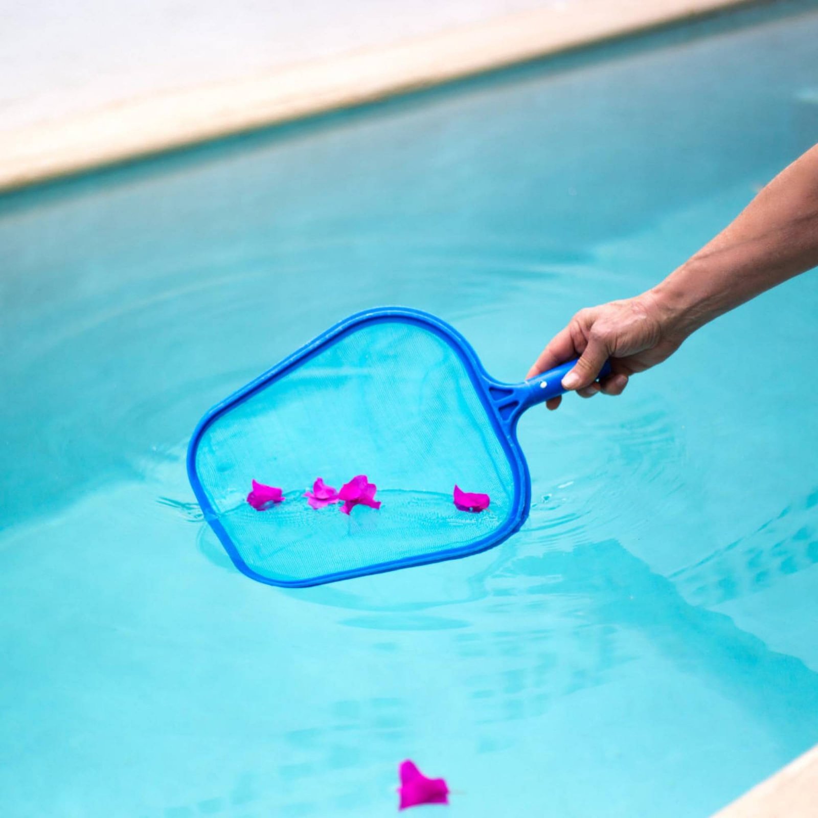 ตาข่ายกรองใบไม้ในสระแบบถอดได้  - Pool Skimmer Net บทวิจารณ์และราคา